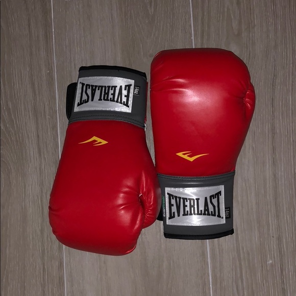 everlast 14oz leather boxing gloves